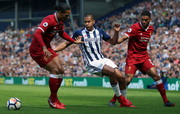 化的多样性 化的多样性